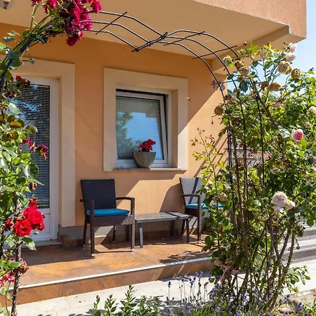 Amazing In Spincici * Jusici